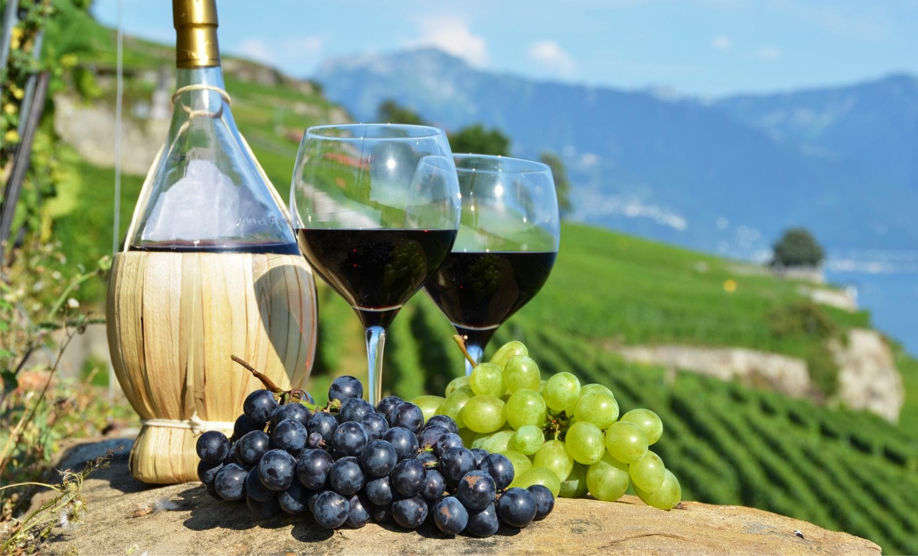 Wine Tour Limo Service for Weddings and Parties