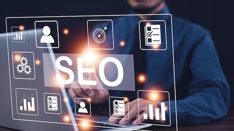 Experienced SEO Specialist NZ for Higher Rankings