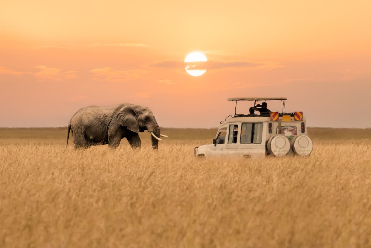 Discover Zanzibar with the Most Reliable Zanzibar Tour Operators