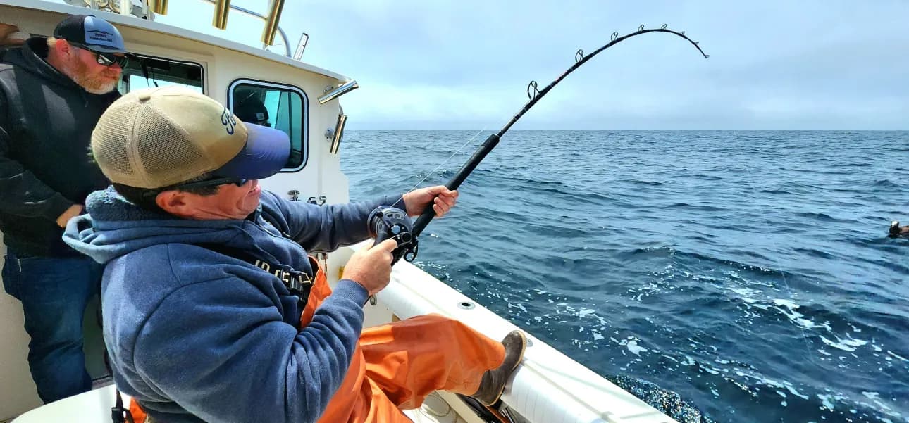 Cabo San Lucas Fishing Charters | Trusted Service