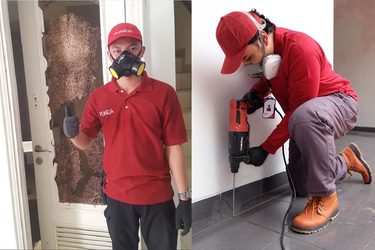 Jasa Anti Rayap Pilihan Tepat untuk Perlindungan Rumah