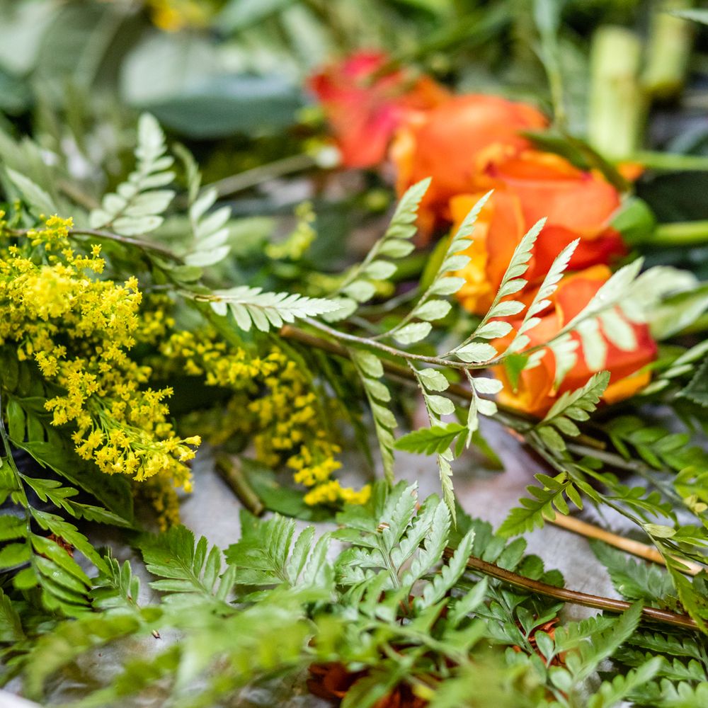 Best Flower Shop in Miami for Last-Minute Gifts
