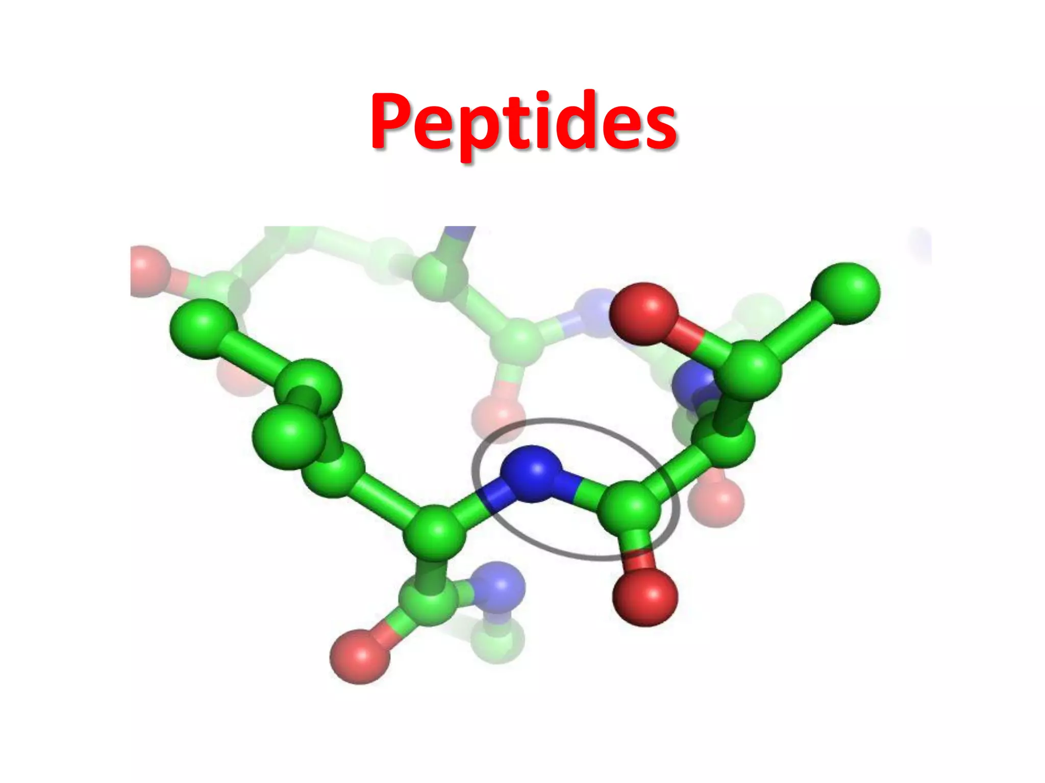 Peptides: From Basics to Advanced Research