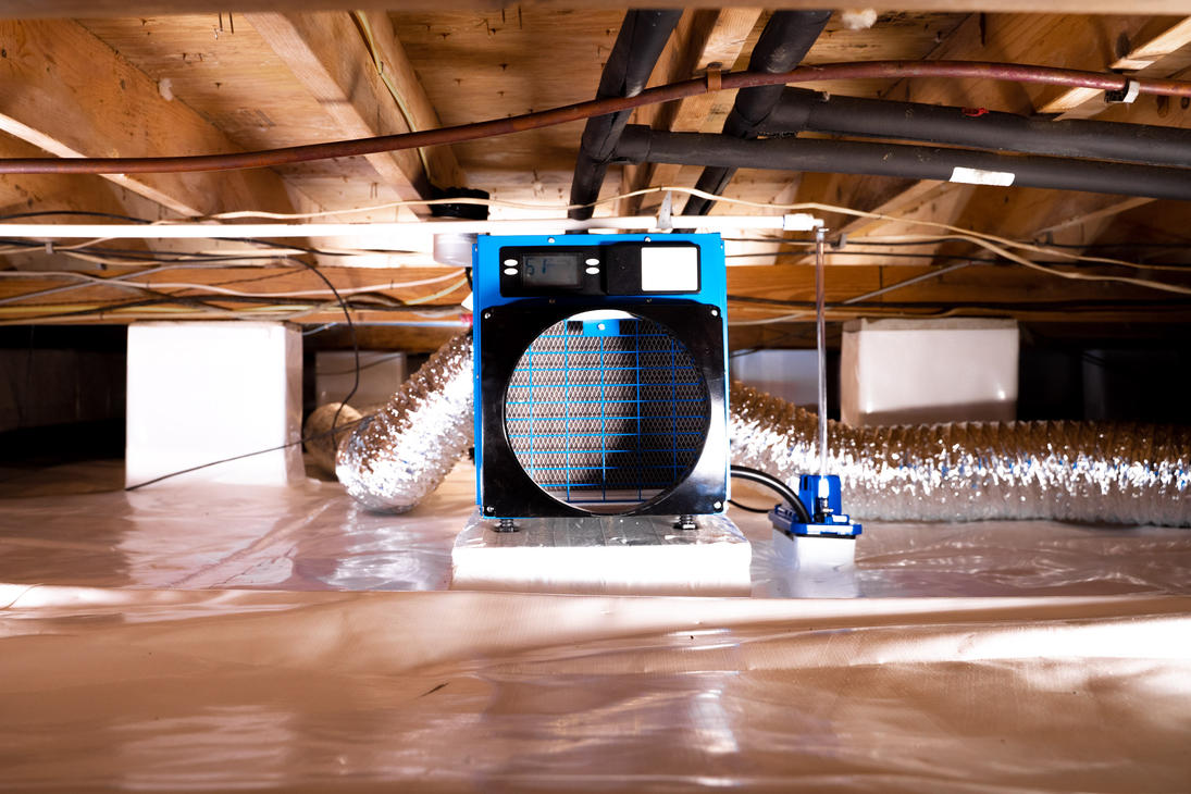 Crawl Space Restoration to Prevent Structural Damage