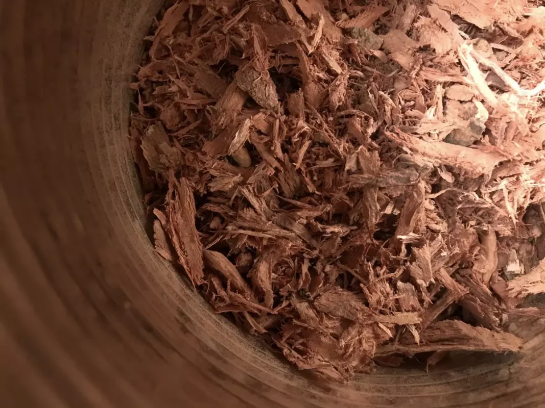 A Beginner’s Guide to Mimosa Hostilis Root Bark Dye Techniques