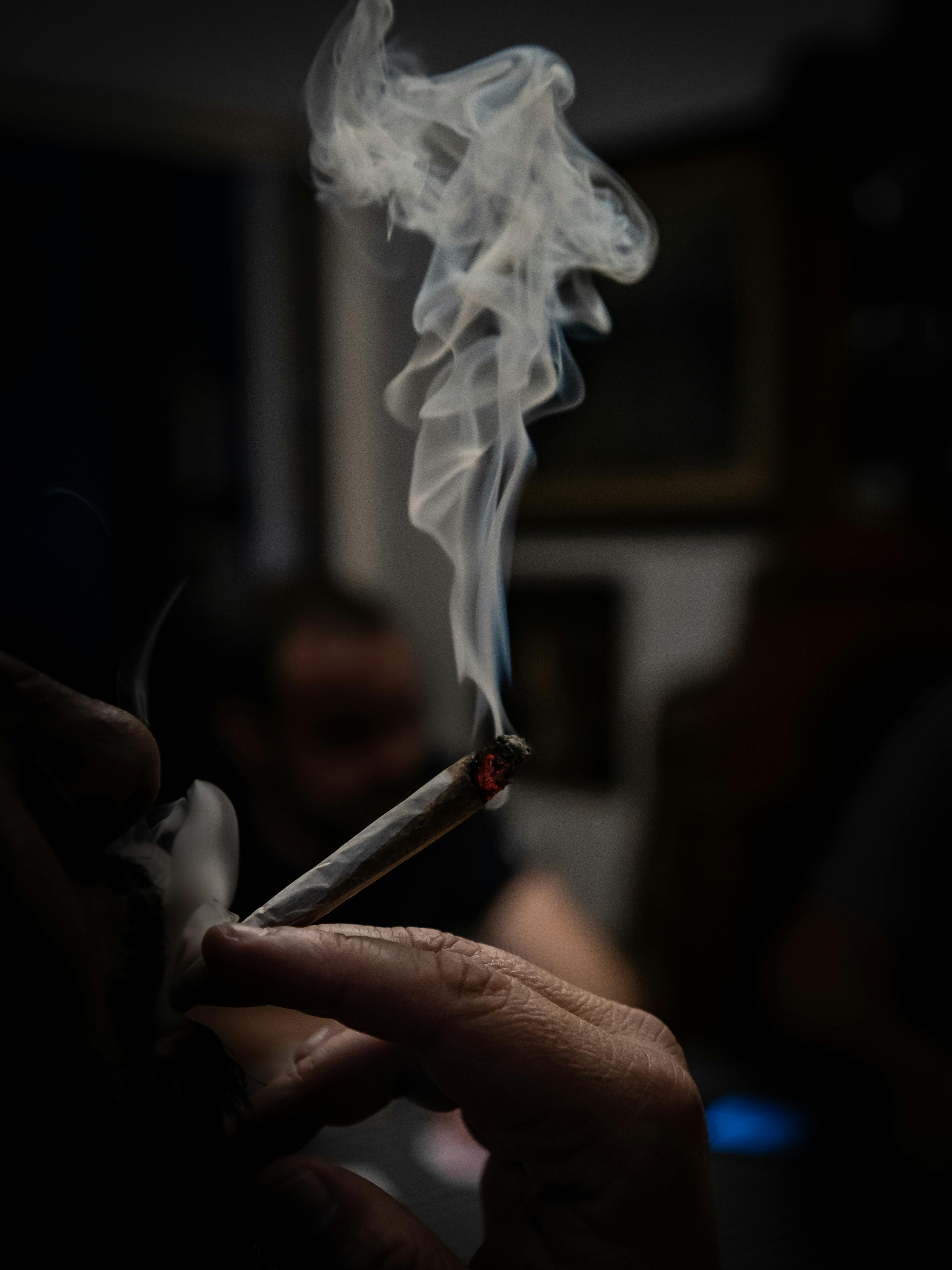 My Native Smokes: Premium Zyn Canada for Canadian Customers