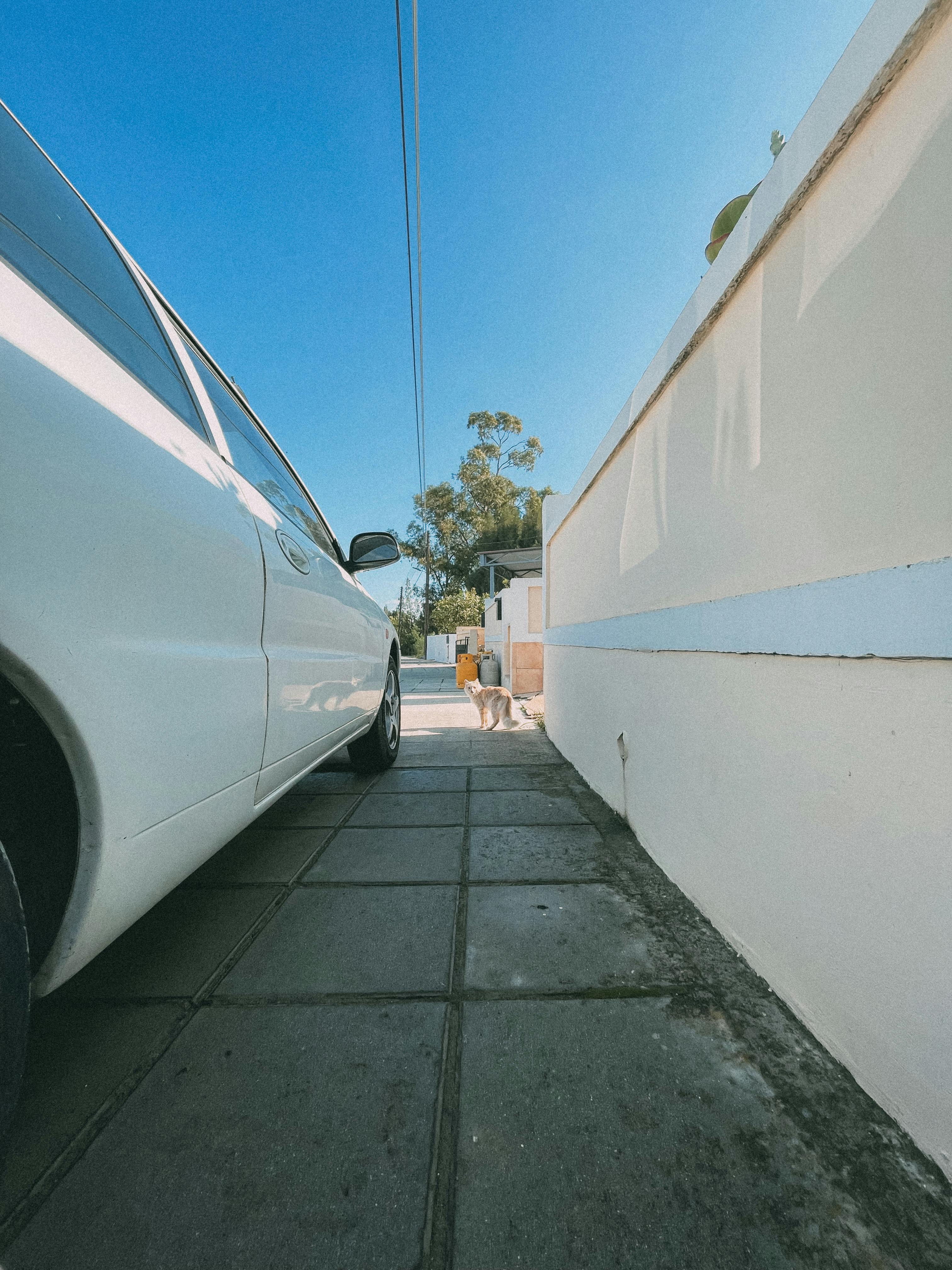 Limousine Miami: Luxury Transportation Across South Florida