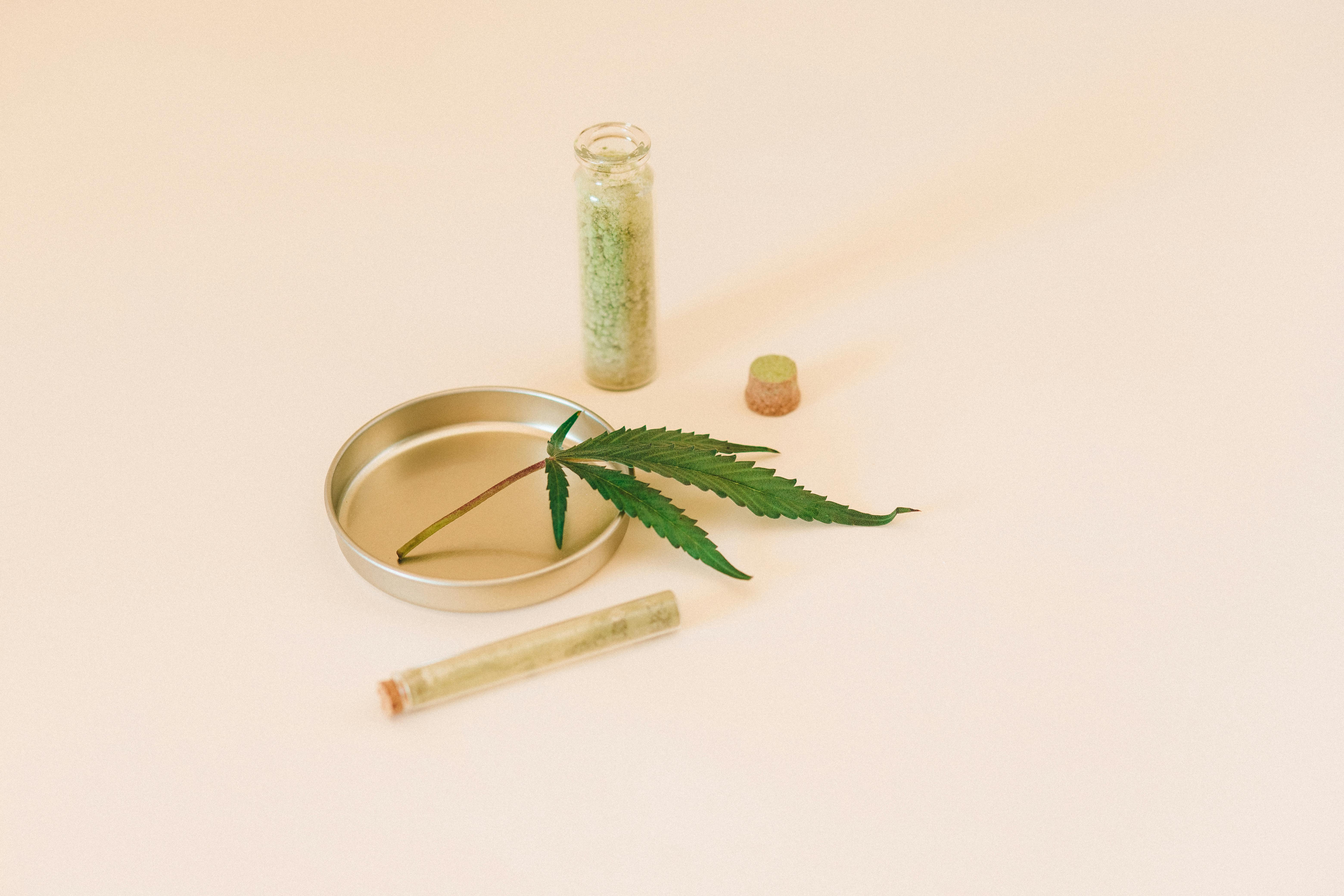 BREAKING DOWN THCA FOR CURIOUS FOOD ENTHUSIASTS
