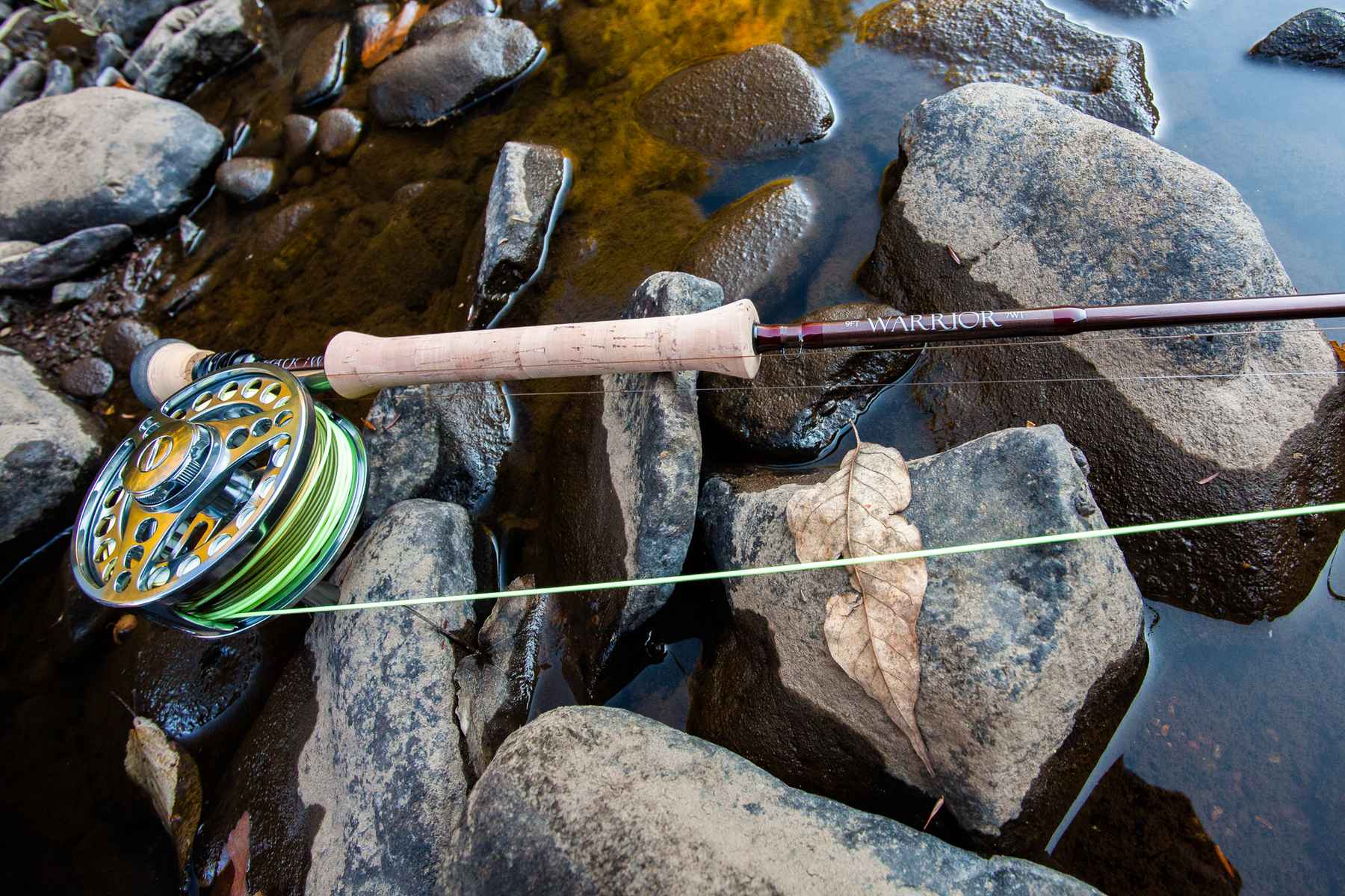 Best Fly Fishing Reels for Beginners and Experts