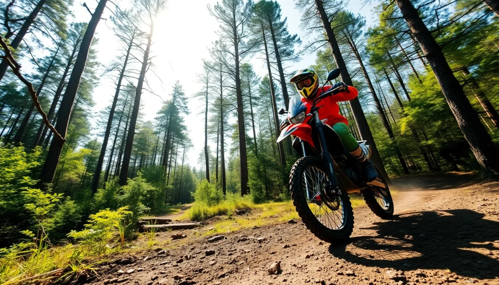 Showcase an exhilarating ride on a motorcycle at https://relevance.com.ua amidst a lush green forest.