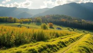 Imagine cu vignetă Cehia pe un drum, evidențiind semnele de taxare pentru autostrăzi.