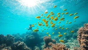 Experience snorkeling adventures at https://egypt-snorkeling.com with vibrant tropical fish and stunning coral reefs.